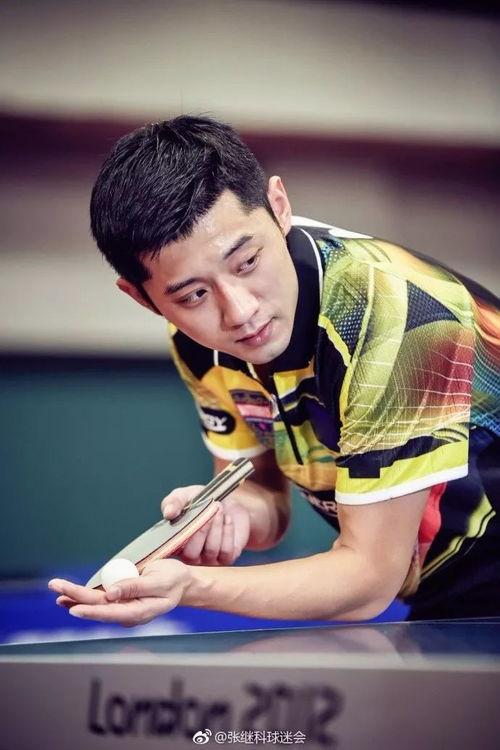 景甜张继科漫画爆料视频,甜蜜恋情背后的温馨瞬间